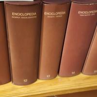 enciclopedia Einaudi