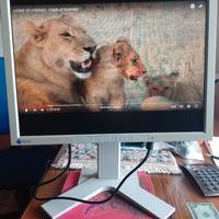 EIZO - Color LCD Monitor FlexScan L797