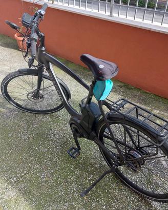 Bici elettrica