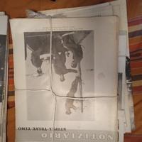 Riviste selezionando Stiprl Telve Timo 