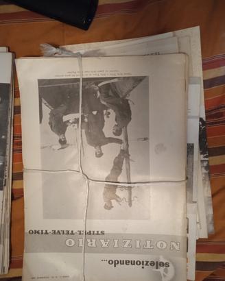 Riviste selezionando Stiprl Telve Timo 