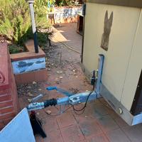 Rimorchio trasporto cani