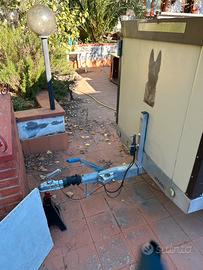 Rimorchio trasporto cani