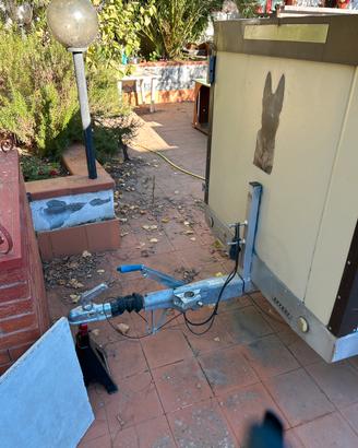 Rimorchio trasporto cani