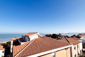 Palombina nuova ( rif. e96-3574)