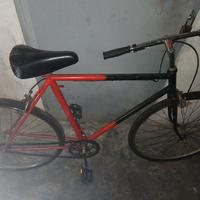 bicicletta 