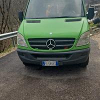 Mercedes Sprinter 7 posti
