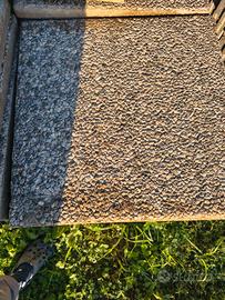 Lastra di cemento  50x50 cm