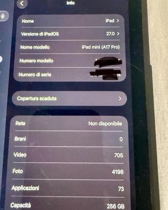 Ipad mini WiFi cellular