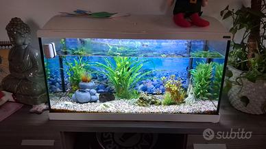 acquario 96 litri