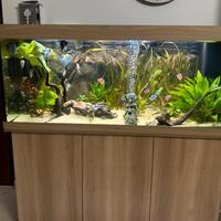 Acquario juwel rio 450