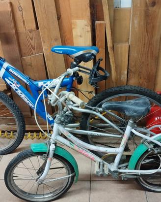 Mountain-bike+ Bici bimba