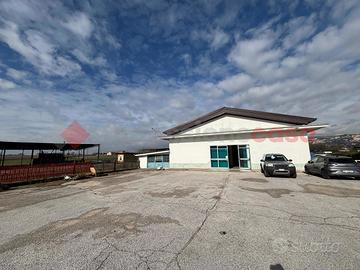 Negozio Anagni [Cod. rif 3292222ACG]