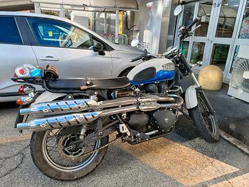 Triumph scrambler 900