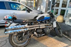 Triumph scrambler 900