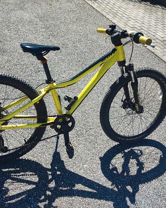 bici scoot 24 pollici