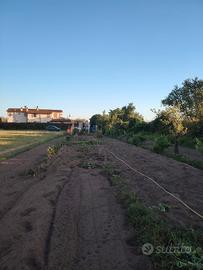 Terreno agricolo