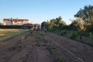 Terreno agricolo