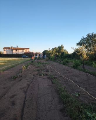 Terreno agricolo