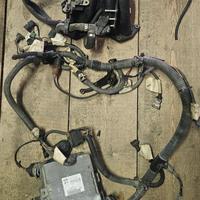 cablaggio renault clio 1.8 16v