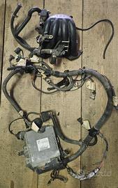 cablaggio renault clio 1.8 16v