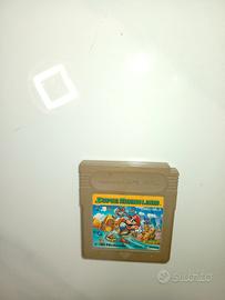 Super Mario Land SW