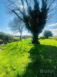 Villa di 155 m² con 4 locali a Ravenna