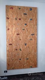 Parete di arrampicata "domestica"