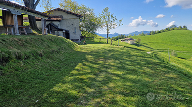 Rustico