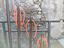 Immagine 2