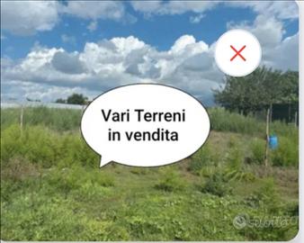 Vari terreni anche in affitt