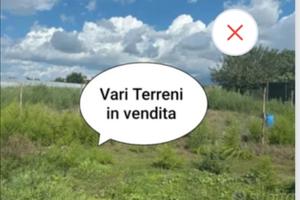 Vari terreni anche in affitt