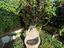 Immagine 23