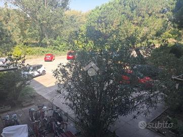 2 LOCALI A COMACCHIO