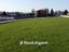 Immagine 14