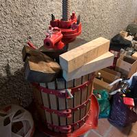 Set completo vinificazione torchio, pigiatrice etc