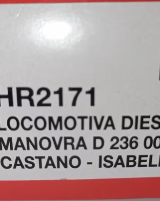 Hornby Rivarossi locomotiva FS D236 DCC elaborata
