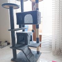 tiragraffi gioco gatto