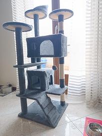 tiragraffi gioco gatto