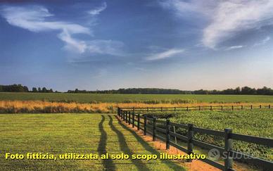 Terreno di 8000 m² a Campi Bisenzio