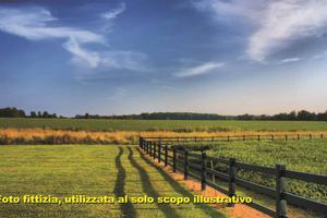Terreno di 8000 m² a Campi Bisenzio