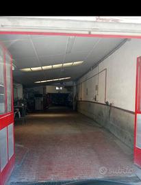 Capannone commerciale