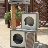 Tiragraffi per Gatti