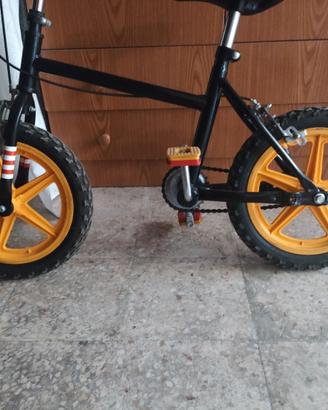 bicicletta
