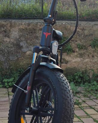 bicicletta elettrica 