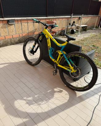 Bici da endurao giant regin 2