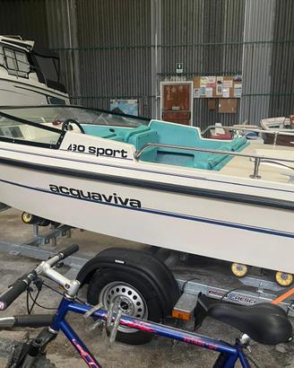 Motoscafo ACQUAVIVA 430 - Motore MARINER 25Hp 2T