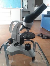 microscopio optika b-20