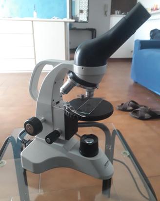 microscopio optika b-20