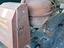 Immagine 3